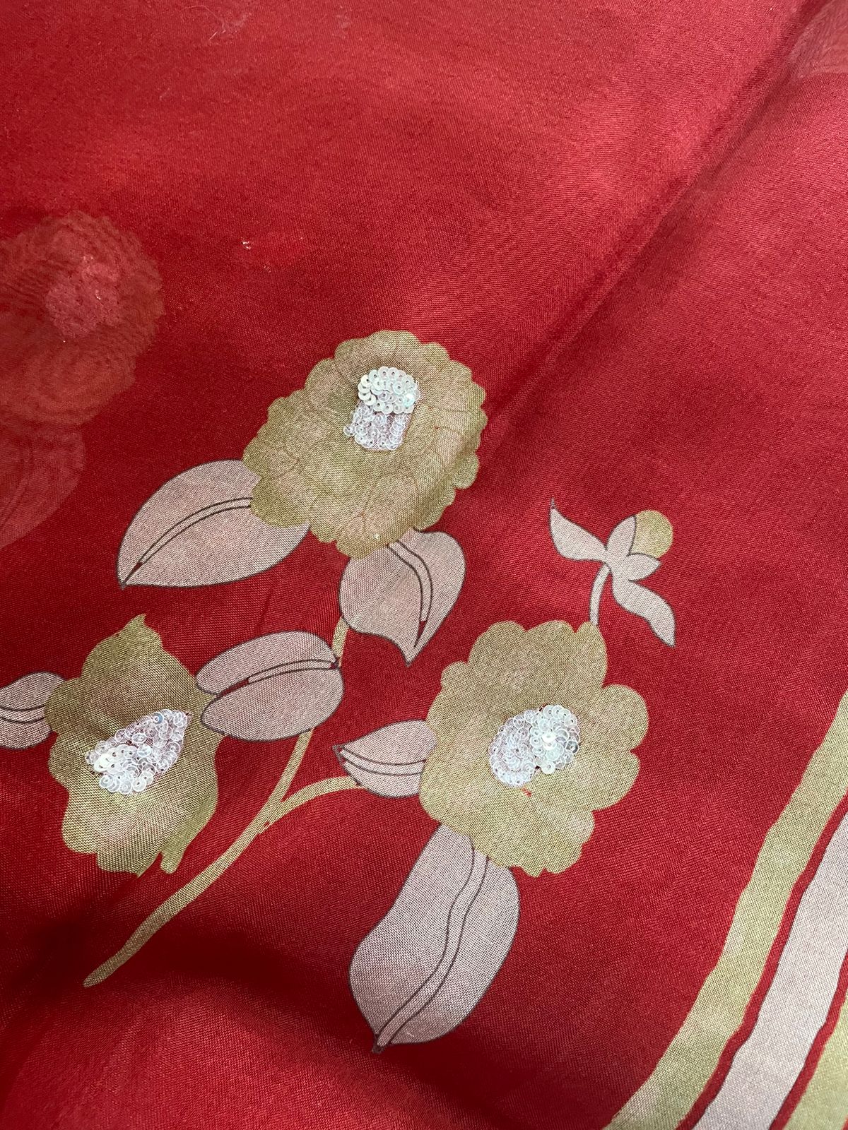 Red Pure Organza Saree with Hand Embroidry