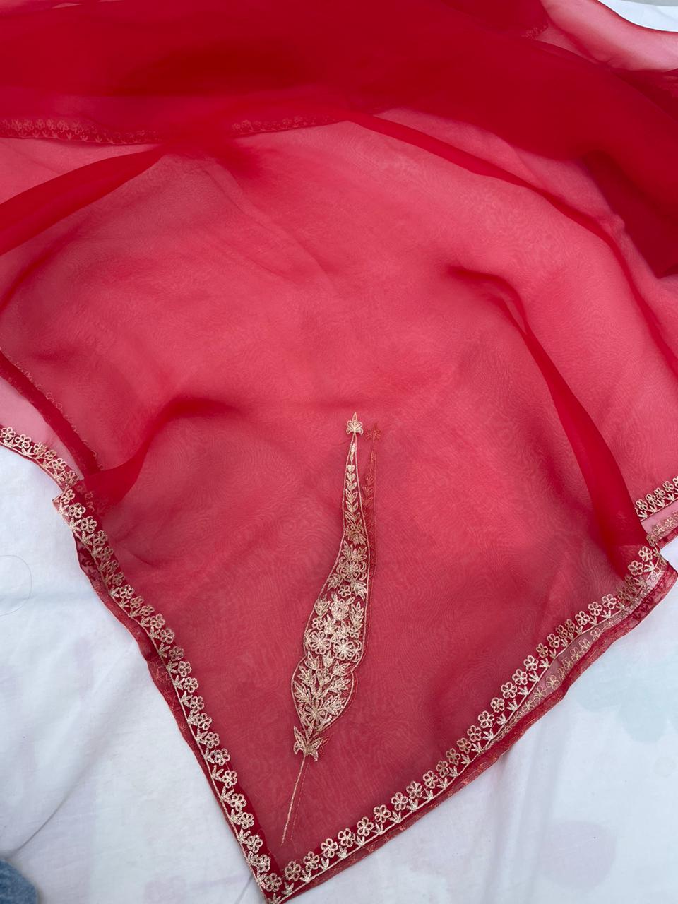 Red Organza Banarasi Dupatta with Koniya
