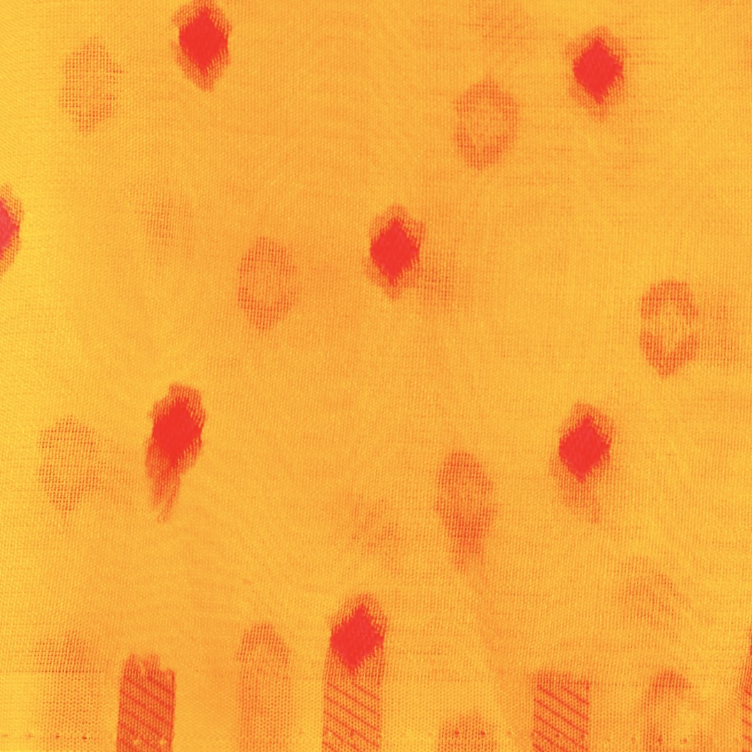 Yellow Adha Jaal Organza Banarasi Saree with Red Meenakari