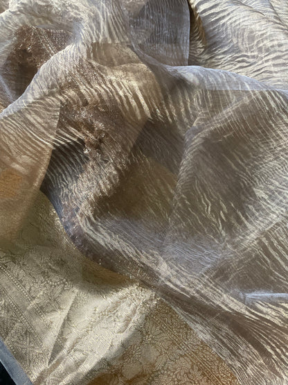 Grey Gold Pure Crush Tissue Silk Banarasi Saree with Embellished Border