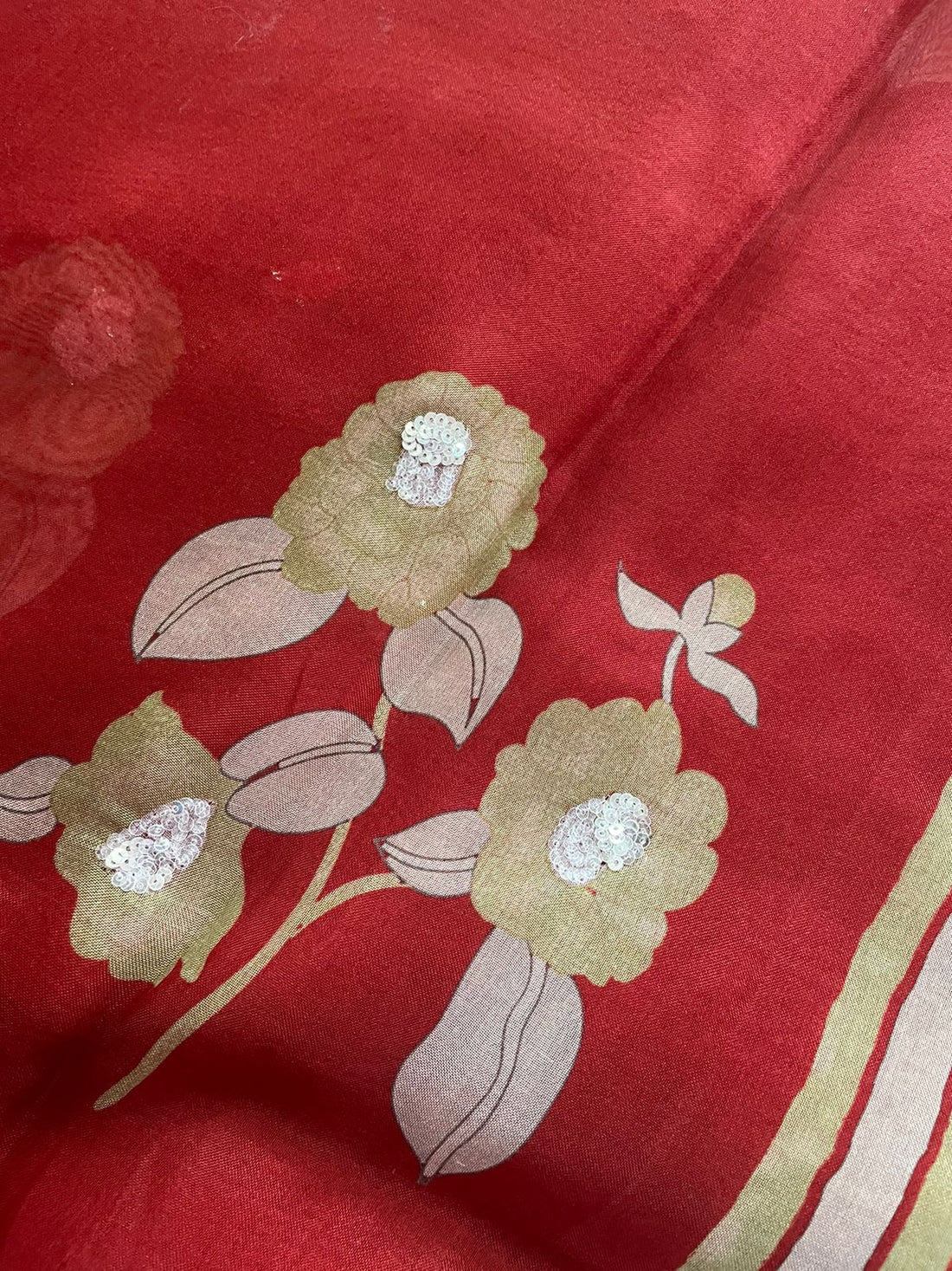 Red Pure Organza Saree with Hand Embroidry