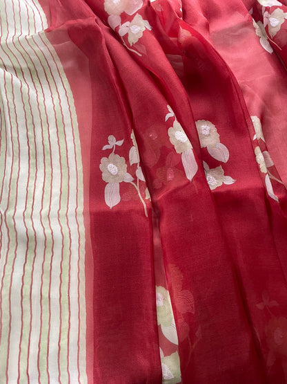 Red Pure Organza Saree with Hand Embroidry
