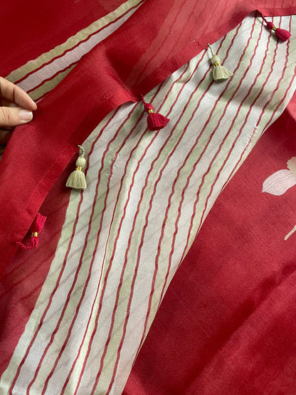 Red Pure Organza Saree with Hand Embroidry