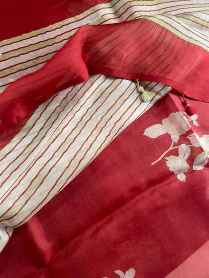 Red Pure Organza Saree with Hand Embroidry