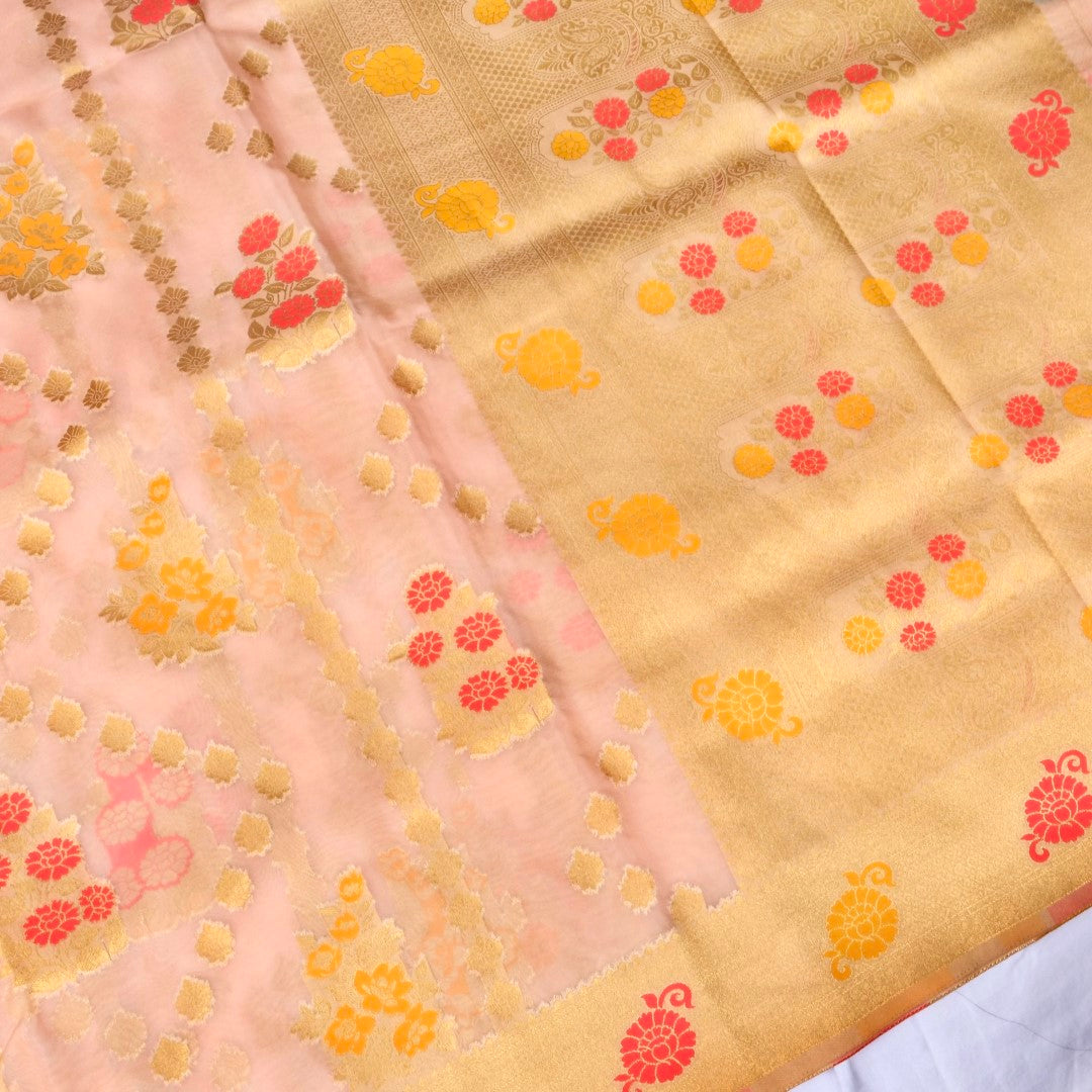 Millenial Pink Jaal Organza Banarasi Saree with Meenakari