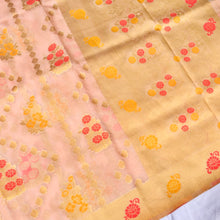 Load image into Gallery viewer, Millenial Pink Jaal Organza Banarasi Saree with Meenakari
